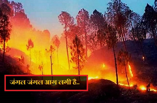 रूद्रप्रयाग: ये जंगल जल रहे हैं इन्हें बचा लो…