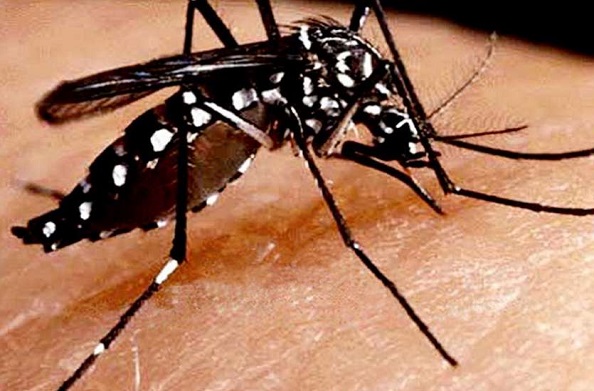 जानलेवा हुआ डेंगू… डेंगू शॉक सिंड्रोम के मरीजों को हो सकता है जान का खतरा, पढ़ें पूरी खबर..