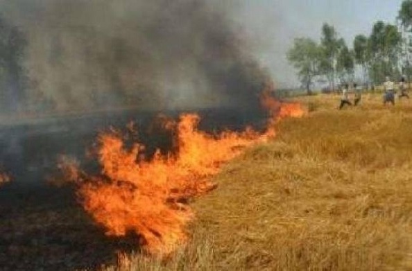 कौशांबी: प्रशासन की सुस्ती के चलते नहीं रूक रहा है पराली जलाने का सिलसिला