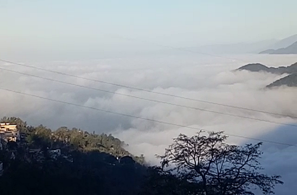 टिहरी: नरेंद्रनगर में कोहरे का कोहराम