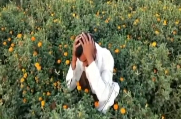 हरदोई: लॉकडाउन में फूलों के किसानों की जिंदगी हुई बदरंग