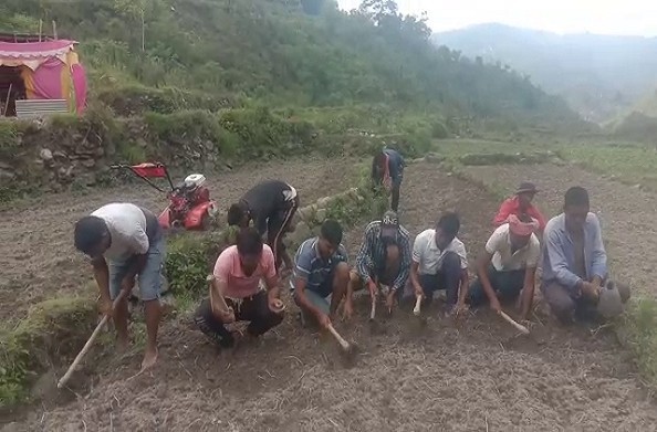 टिहरी: प्रवासी युवकों ने कर दिया कमाल… बंजर ज़मीन पर खेती कर ज़मीन को बनाया उपजाऊ