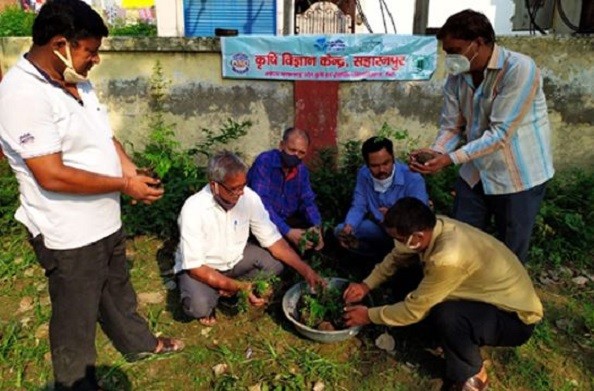 पर्यावरण के संतुलन को बनाए रखने के लिए पौधरोपण जरूरी, सहारनपुर जिले में रोपे गए 37 लाख से अधिक पौधे