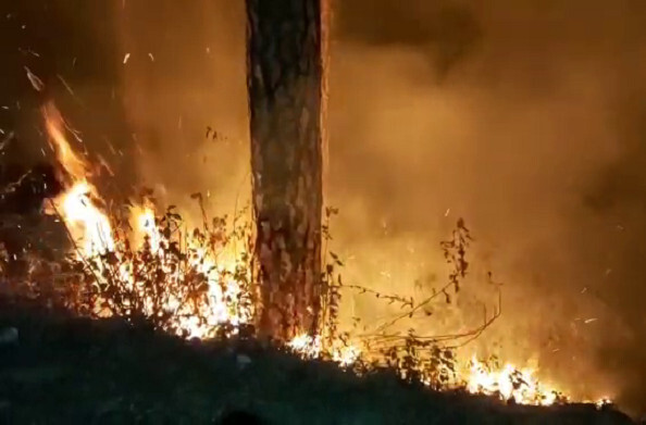 पिथौरागढ़: जिला मुख्यालय से सटे जंगलों सहित ज़िले के कई जगंलों में आग से वन संपदा को नुकसान