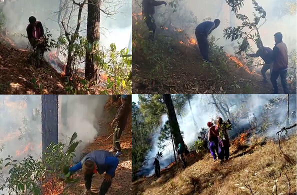 थराली: 2 दिनों से जंगलों में अचानक आग लगने से मची अफरा-तफरी, पेड़ों को कटान को छिपाने के लिए आग लगाए जाने की आशंका