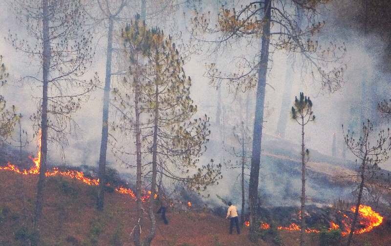 देर रात हुई आंधी के साथ बारिश ने बुझाई जंगलो की आग ,लोगो ने ली राहत की सांस