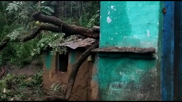 बागेश्वर :गुनाकोट में एक मकान के ऊपर पेड़ गिरने से 9 लोग घायल 2 लोगों की उपचार के दौरान मौत