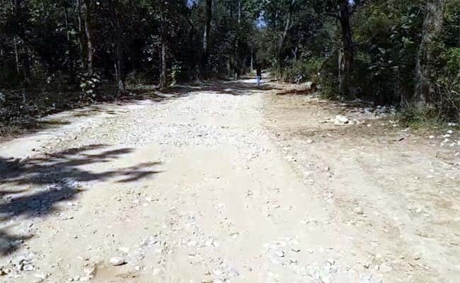 राष्ट्रीय वन्यजीव बोर्ड द्वारा लालढांग-चिल्लरखाल वन मोटर मार्ग को दी गई स्वीकृति