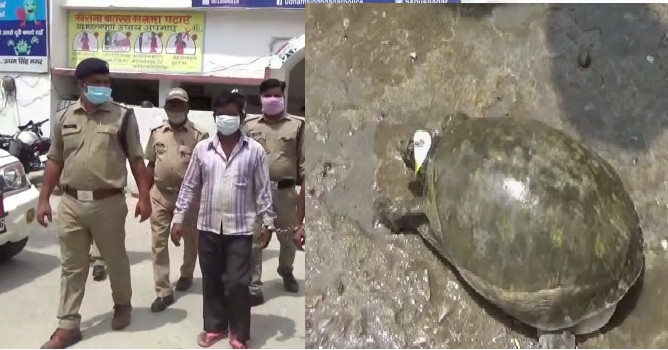 उधमसिंहनगर : पुलिस को मिली कामयाबी, 24 जिन्दा कछुओं के साथ एक युवक गिरफ्तार