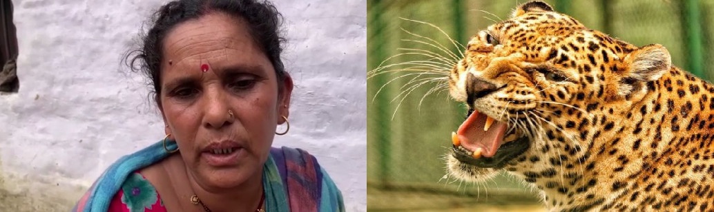 पौड़ी गढ़वाल : 50 वर्षीय सावित्री देवी घास काटते समय हुई गुलदार का शिकार,दराती न होती तो हो सकता था बड़ा हादसा