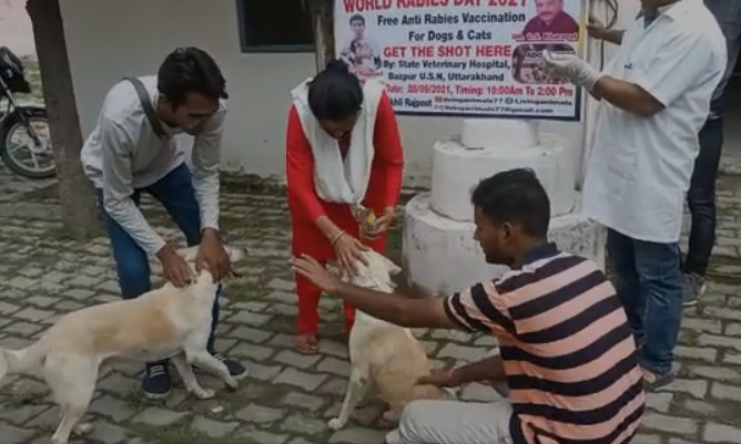 विश्व रैबीज दिवस : बाजपुर के पशु चिकित्सालय में 1 दर्जन से अधिक आवारा कुत्तों को लगे रेबीज के इंजेक्शन