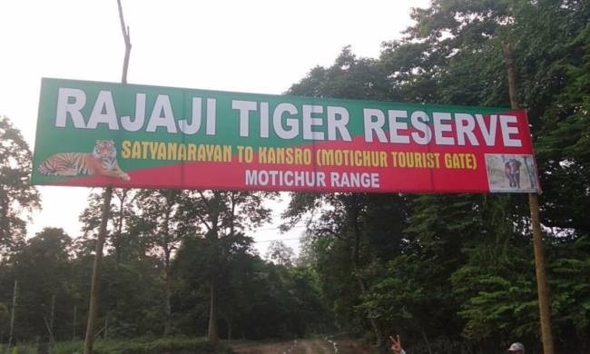 राजाजी टाइगर रिजर्व : पर्यटकों के लिए आज से खुले मोतीचूर और चीला रेंज के गेट