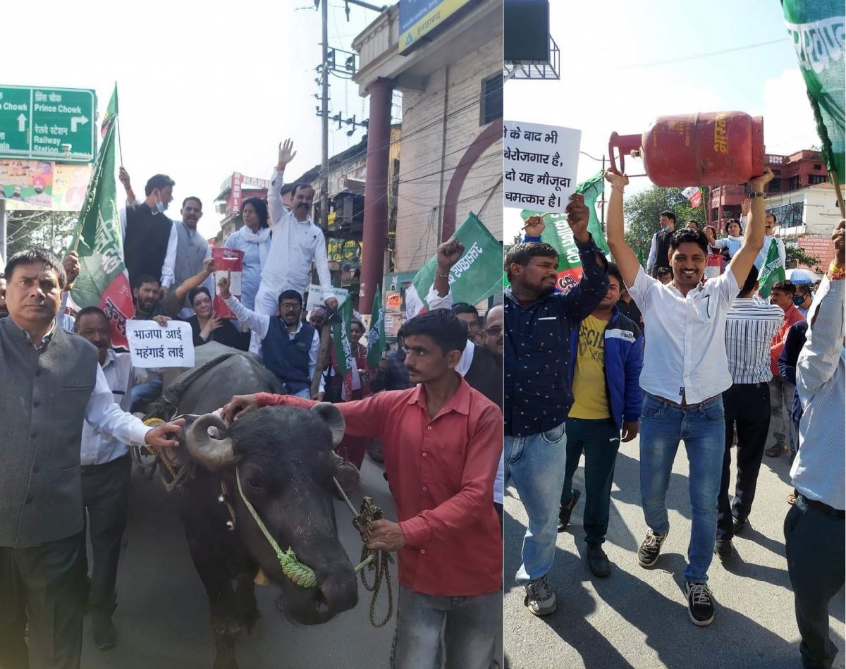 बढ़ती महंगाई व बेरोजगारी के खिलाफ उत्तराखंड क्रांति दल ने जबरदस्त प्रदर्शन कर शहर में बैल गाड़ियों से निकाली रैली
