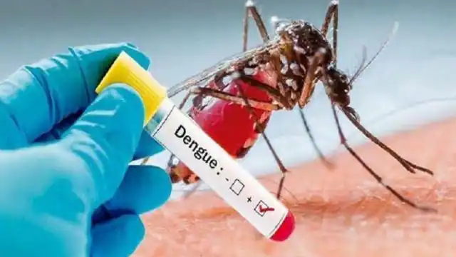 हो जाएं सतर्क, उत्तराखंड में तेजी से पैर पसार रहे हैं डेंगू के मामले, कुल मरीजों की संख्या 300 पार