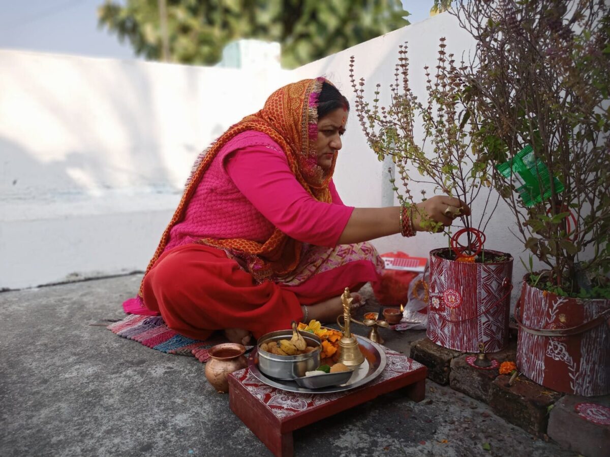 तुलसी पूजन दिवस : भारत में 25 दिसंबर को हर साल मनाया जाता है तुलसी पूजन दिवस, जाने क्या हैं तुलसी पूजा के फायदें