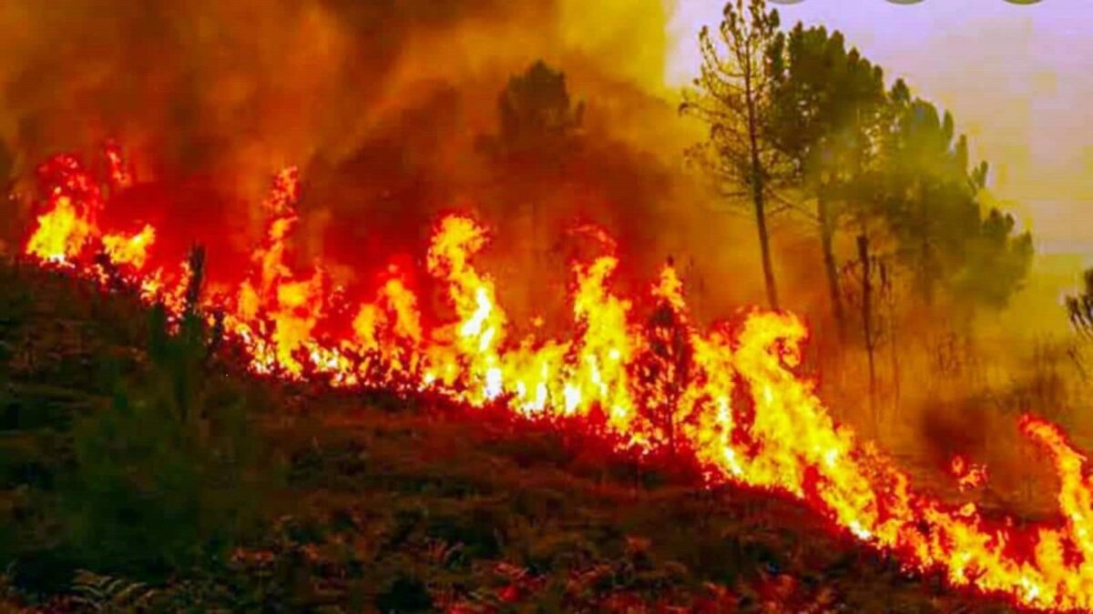 पौड़ी जिले के झाली माली मंदिर खुगसा कलजीखाल ब्लॉक के जंगलों में लगी आग