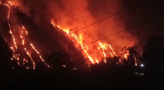 उत्तराखंड के जंगलों पर लगी आग को लेकर प्रदेश की सियासत हुई तेज
