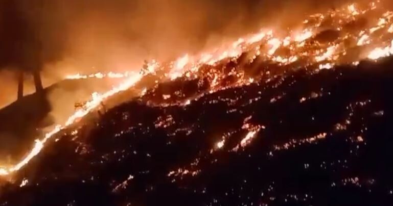 पिथौरागढ-जोशी गांव के जंगल में लगी आग, वन कर्मीयों ने कड़ी मशक्कत के बाद बुझाई आग