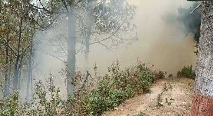 टिहरी के जंगलो में लगी भीषण आग,  वन संपदा को हुआ भारी नुकसान