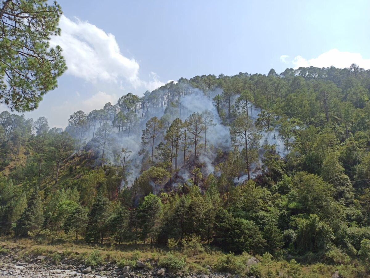 चमोली: बेनोलो के गांव के पास जंगल में लगी आग, आग लगने से लाखों की वन संपदा खाक