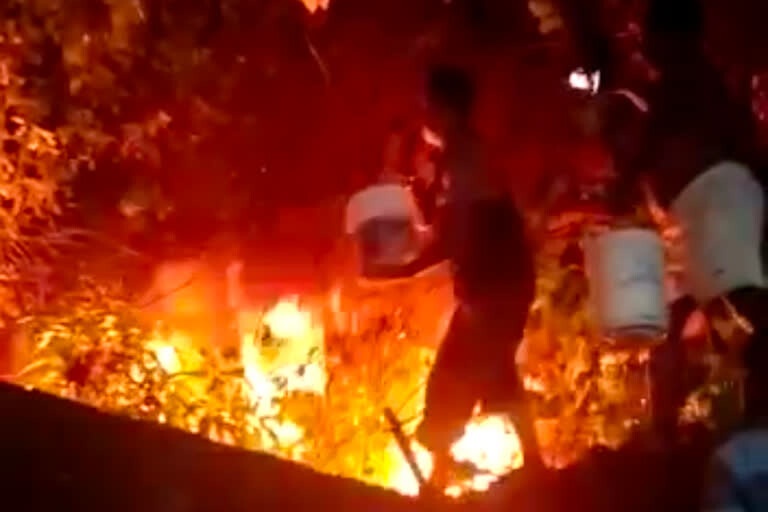 Roorkee : कारखाने में लगी भीषण आग, हादसे में 65 साल का चौकीदार ज़िंदा जला