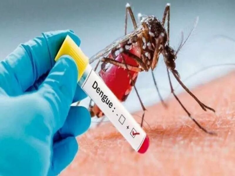देहरादून में बढ़ा डेंगू का प्रकोप, अभी तक 174 मामले मिले