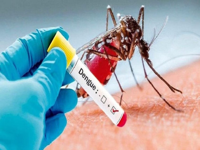 Dengue:  इस जिले में डेंगू से हुआ बुरा हाल, मरीजों का आंकड़ा 472 पार