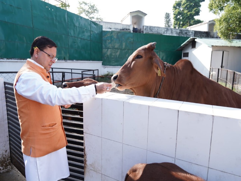 Govardhan Puja 2023 : मुख्यमंत्री धामी ने गायों की पूजा कर उत्तराखंडवासियों की सुख- समृद्धि की कामना की