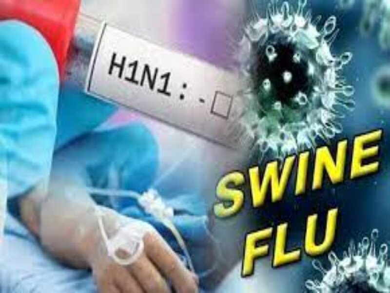 कोविड के डर के बीच स्वाइन फ्लू के H1N1 स्ट्रेन का खतरा, यहां मिले तीन मरीज
