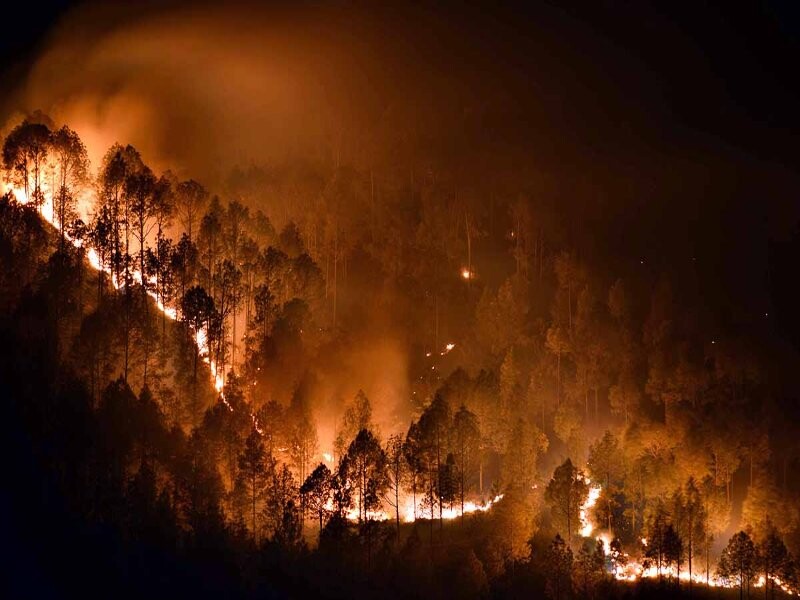 Uttarakhand Forest Fire: 24 घंटे में जंगलों में 54 जगह भड़की आग, टूटा रिकॉर्ड