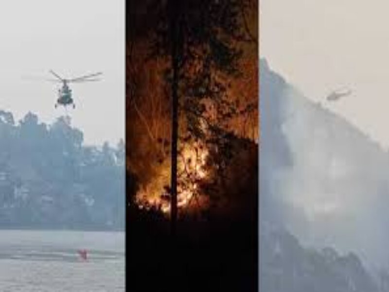 नैनीताल के जंगलों में लगी भीषण आग, एयरफोर्स के MI-17 से किया जा रहा है पानी का छिड़काव