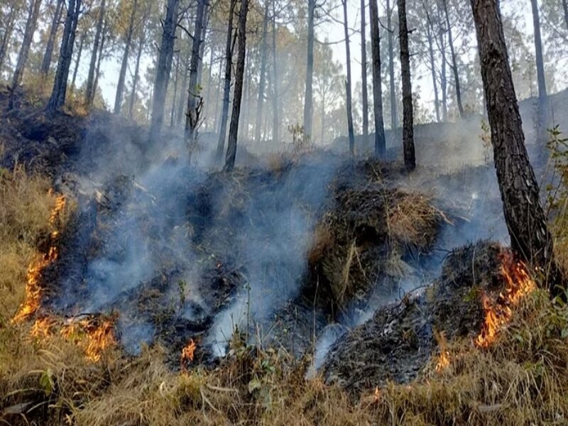 Uttarakhand Forest Burning: 24 घंटे में 31 स्थानों पर वनाग्नि के नए मामले, आग बुझाने में जुटे वनकर्मी
