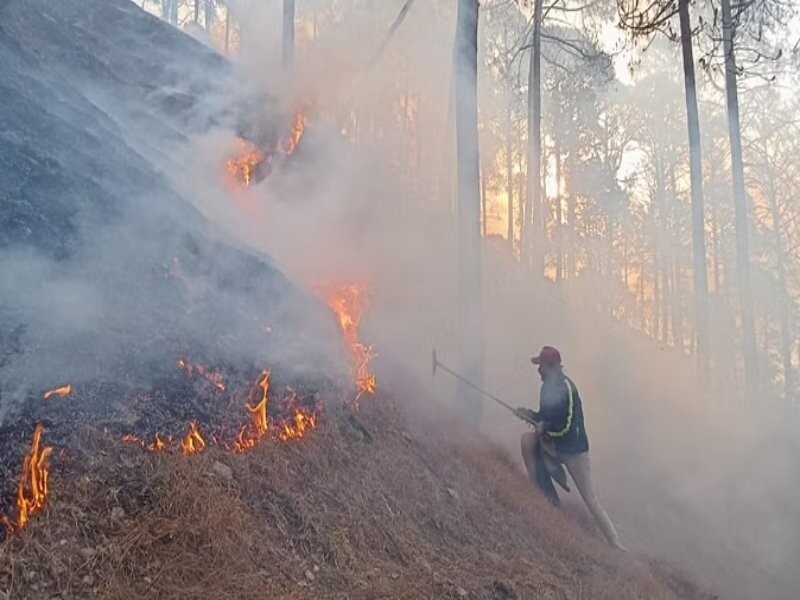Uttarakhand Forest Fire: गैरसैंण में सिविल नाप भूमि में लगी आग, शक होने पर महिला और उसके पति से की गई  पूछताछ